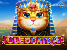 Bedava casino slot oyunları oyna86